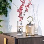 فازة بحزام ذهبي كبيرة وودي