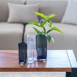 فازة ابيض واسود وودي