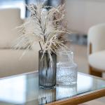 فازة مخططة وودي