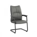 ألفا كرسي زائر جلد رمادي وودي