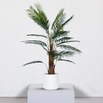 شجرة نخل 150 سم وودي