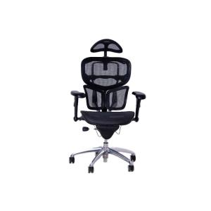 كرسي مدير شبك أسود بمسند رأس وأذرع قابلة للتعديل وودي