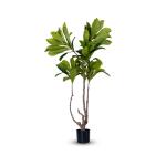 شجرة الياسمين 180 سم وودي