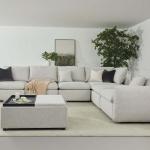 هزال بوف رمادي وودي