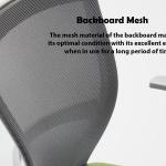 رايون كرسي مكتبي متعدد الألوان ودي