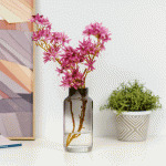 فازة رمادي وودي