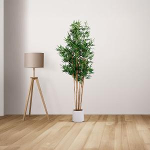 شجر بامبو 230 سم وودي