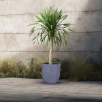 مركن أشجار مخطط صغير رمادي وودي