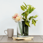 فازة لونين وودي